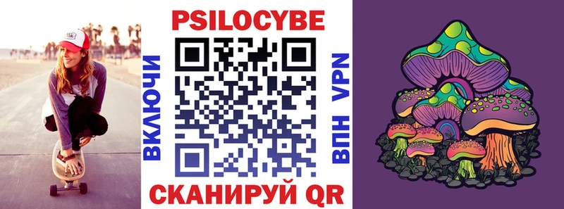 Купить закладки  Дмитровск  Галлюциногенные грибы Psilocybe 